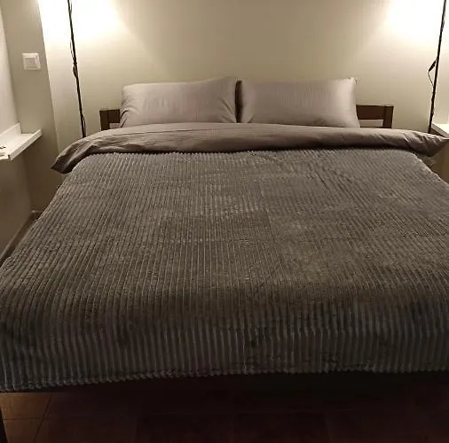 Old Dreams. Daire Riga