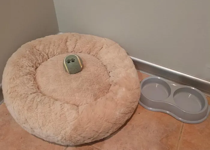 Old Dreams. * 리가